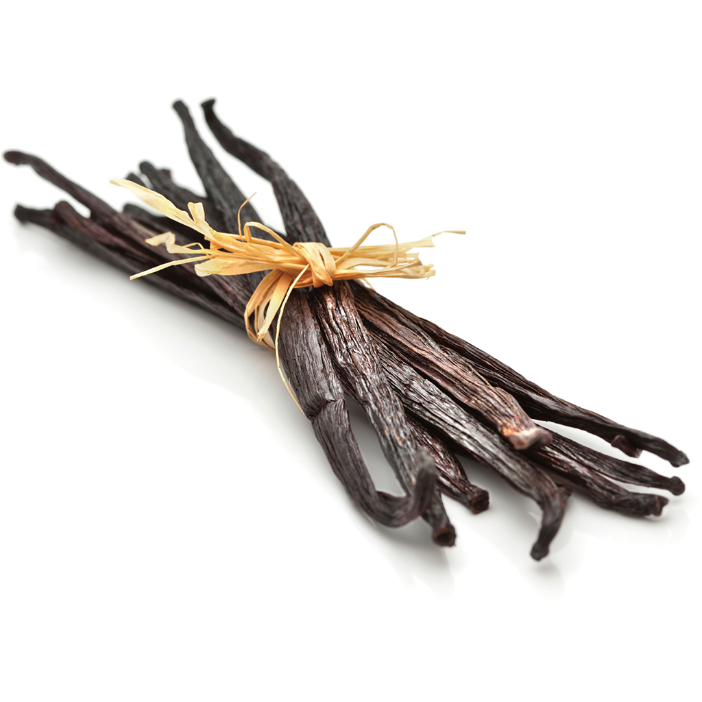 Madagascar Vanilla Bean