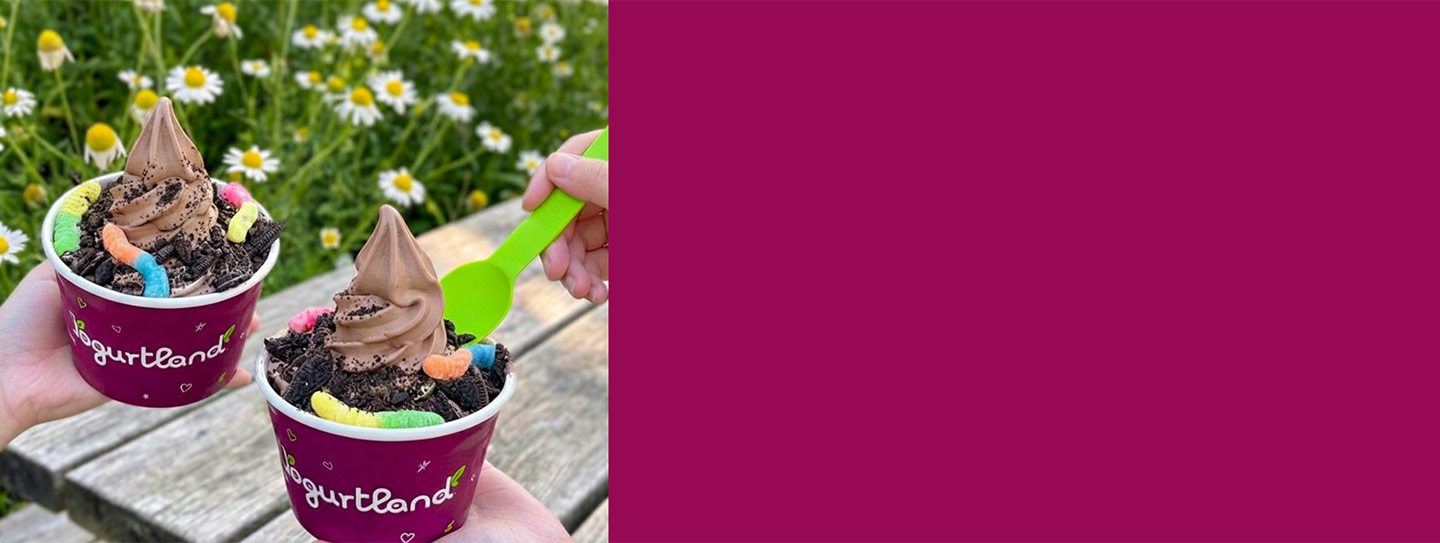 Two Yogurtland frozen yogurt cups with an assortment of toppings