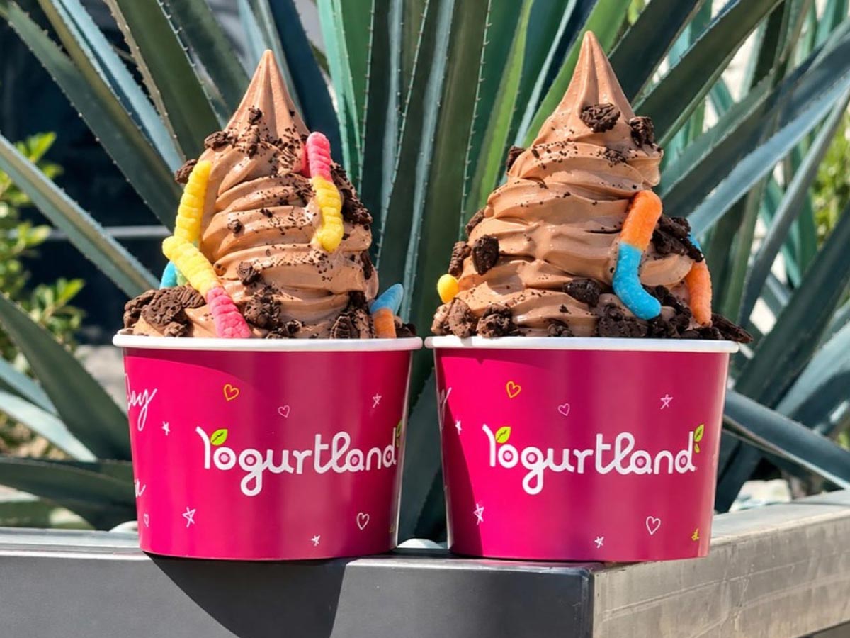 Two Yogurtland frozen yogurt cups with an assortment of toppings