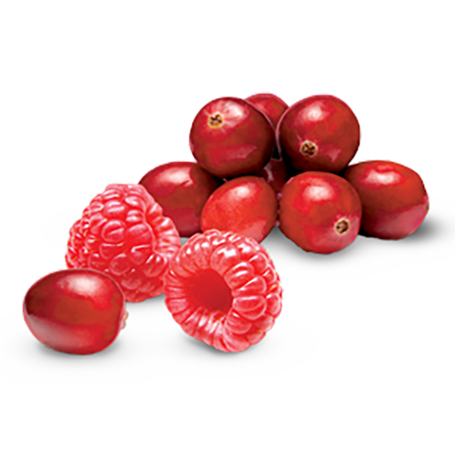 Cranberry Raspberry Tart